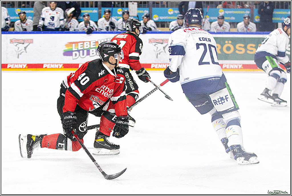 PENNY DEL;  Koelner Haie - Straubing Tigers; Koeln, 15.10.2021